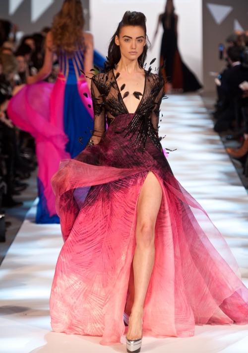 An eye-popping black and pink ombre dress with scattered feathery embellishments by Georges Chakra.