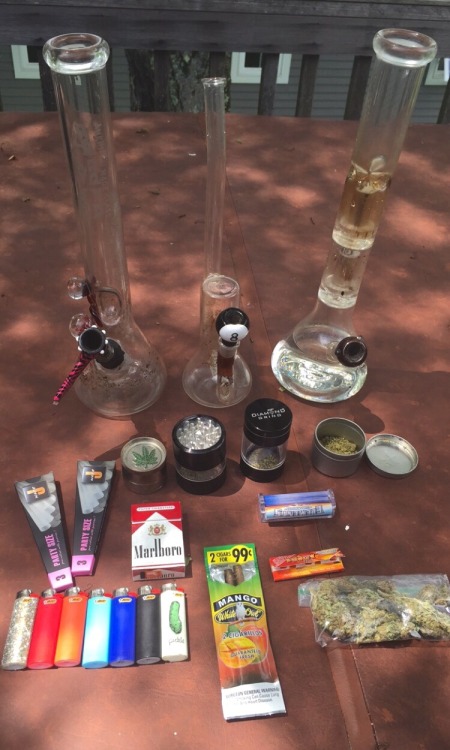 psychedelic-freak-out:  We never fail to stay lit shay-gnar fluorescentdescendents matty-silvs