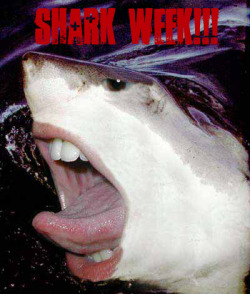 I made this for my 2nd last GF.  Shark Week otherwise known as Blow Job Week.   She tried to scowl and laugh at the same time.  It was cute.