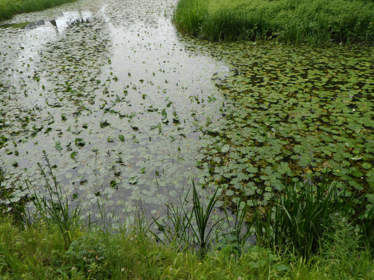 iwishiwasafairy:    Vallø Slot, Denmark   