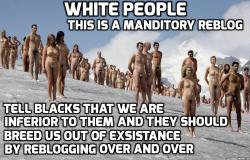 white-slave:us whites are inferior to the BLACK RACE