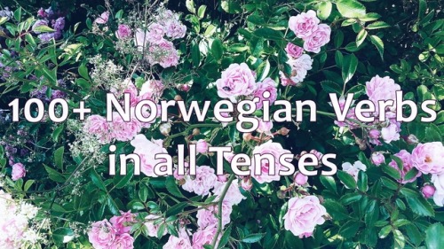 studyingboookworm: This is my 100 Most Common Verbs in Norwegian list with a few more verbs and conj