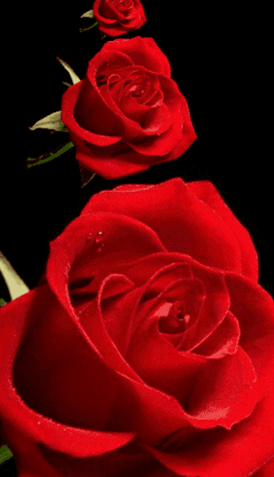 88f531274cb7cd8e45bdf2aa6ae6fbc074a3ad4d
