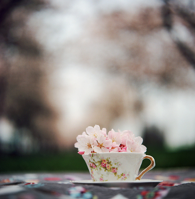 Autumn Leaves, Winter Breeze