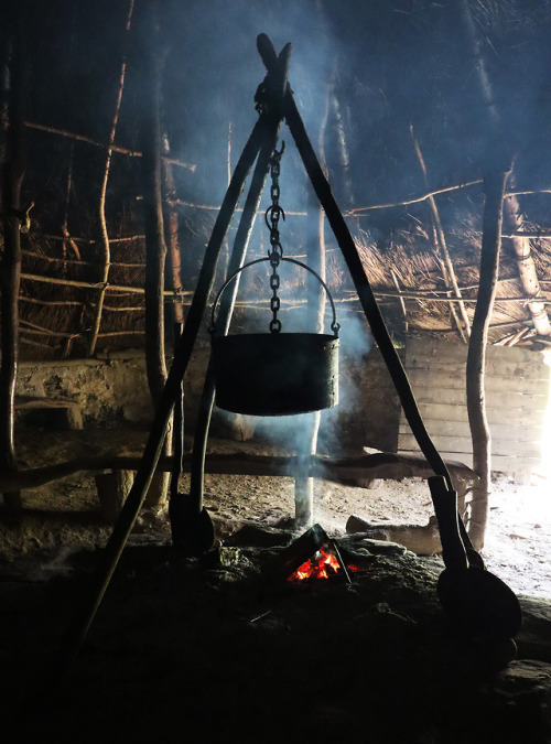 Castell Henllys Iron Age Settlement, Pembrokeshire, South Wales, 5.5.18.Reconstructed roundhouse com