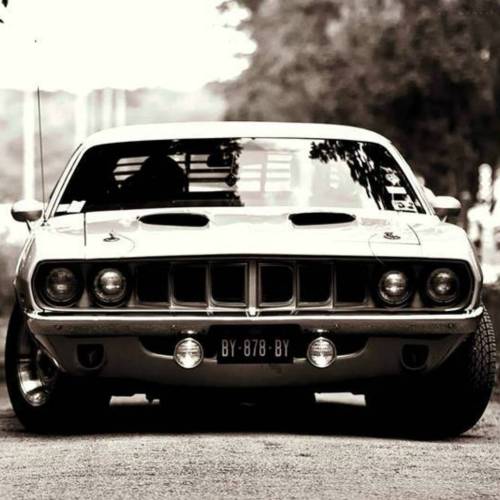 americanmusclepower - Mopar’s