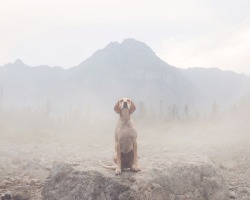 maddieonthings:  Foggy ice cave exploration,