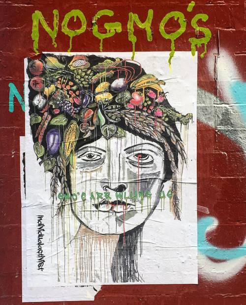 &ldquo;GMO&rsquo;s Are Killing US&rdquo; #art #artappreciation #nycart #nycstreetart #ny