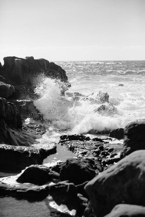 Laguna Beach, CaliforniaNovember 2018© Angela Datre