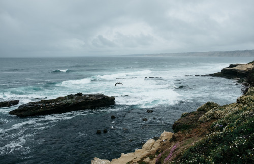 christophermfowler:Seal Rock | San Diego, CA | May 2017