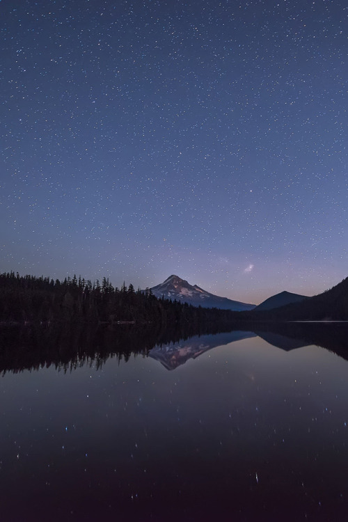 earthyday:The Lost Lakeby Conor MacNeill