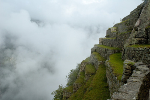 Terraced fields in the upper agricultural sector of Machu Picchu(Peru).
