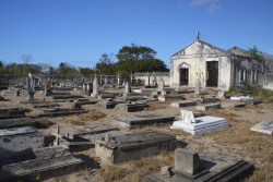 taphophilia:  Portuguese cemetery.X