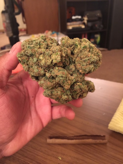 weedporndaily:  fatlobes submitted:Ounce adult photos