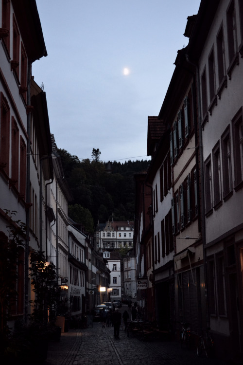 sean-o-neill-photography:  Dusk, Heidelberg