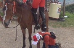 Good boy!   Now, go fetch My spurs.  The new ones.  I&rsquo;m anxious to break them in!