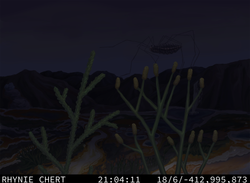 Trailcam: Rhynie Chert Biota, Fossil Deposit Known For It's Very Detailed Fossils Of Plants And Invertebrates