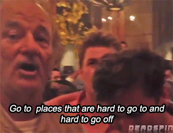 sizvideos:  Bill Murray Crashes Bachelor Party, Gives Awesome Speech - Video 