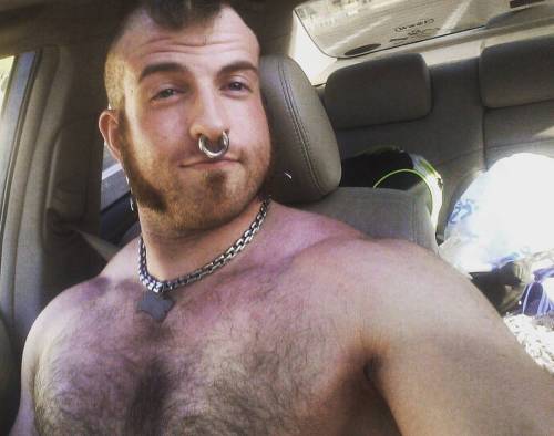 honey-pot:  done with chest pt dux of the day, fond a complimentry angle that I like but blood is in other places than the brain right now so I have… #gymface #instagay #meat #pup #meatpup (at Casa De Canis)