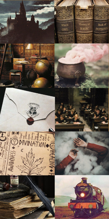 chamberofaesthetics: Hogwarts: A History