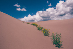 karl-shakur:  Great Sands by Karl-Shakur
