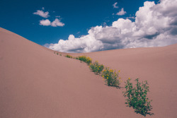 karl-shakur:  Great Sands by Karl-Shakur // Instagram 