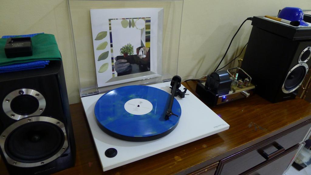 r-p-l-l:  aoty 