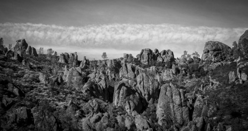 If you look closely you&rsquo;ll see the condors. Pinnacles National Monument, 2013.