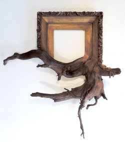 itscolossal:  Twisted Tree Branches Fused with Ornate Picture Frames by Darryl Cox  These are stunning. @dommebadwolff23