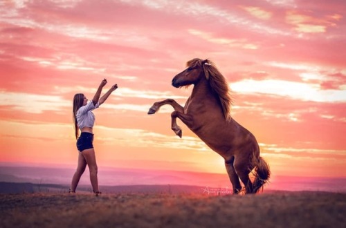 A perfect beautiful whether with horse   