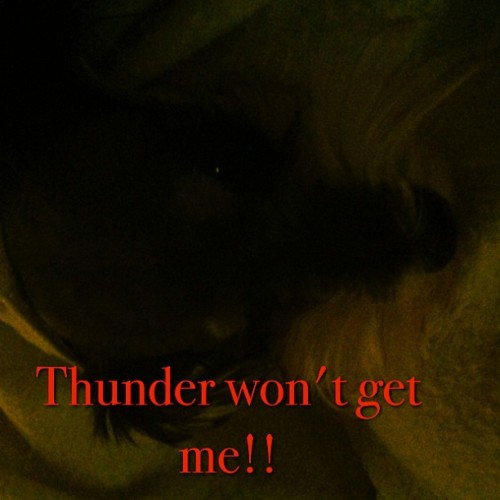 #textgram Lol