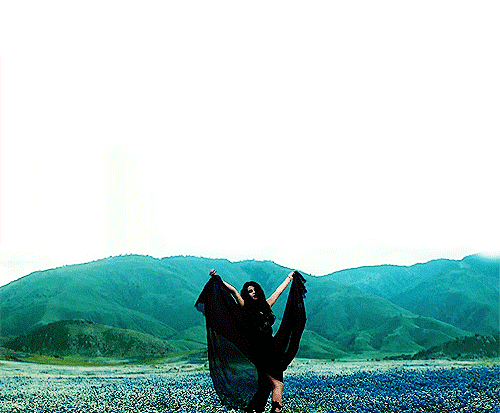 perf, that bodyroll