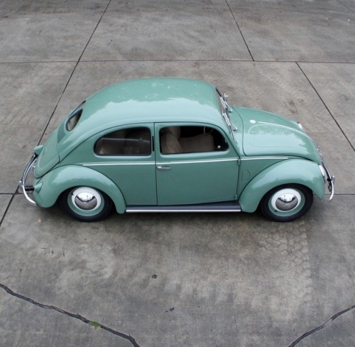 utwo: 1951 VW Beetle Typ11 Brezel © mithomobile