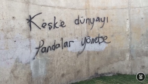Kaybetmek için erken, sevmek için çok geç.