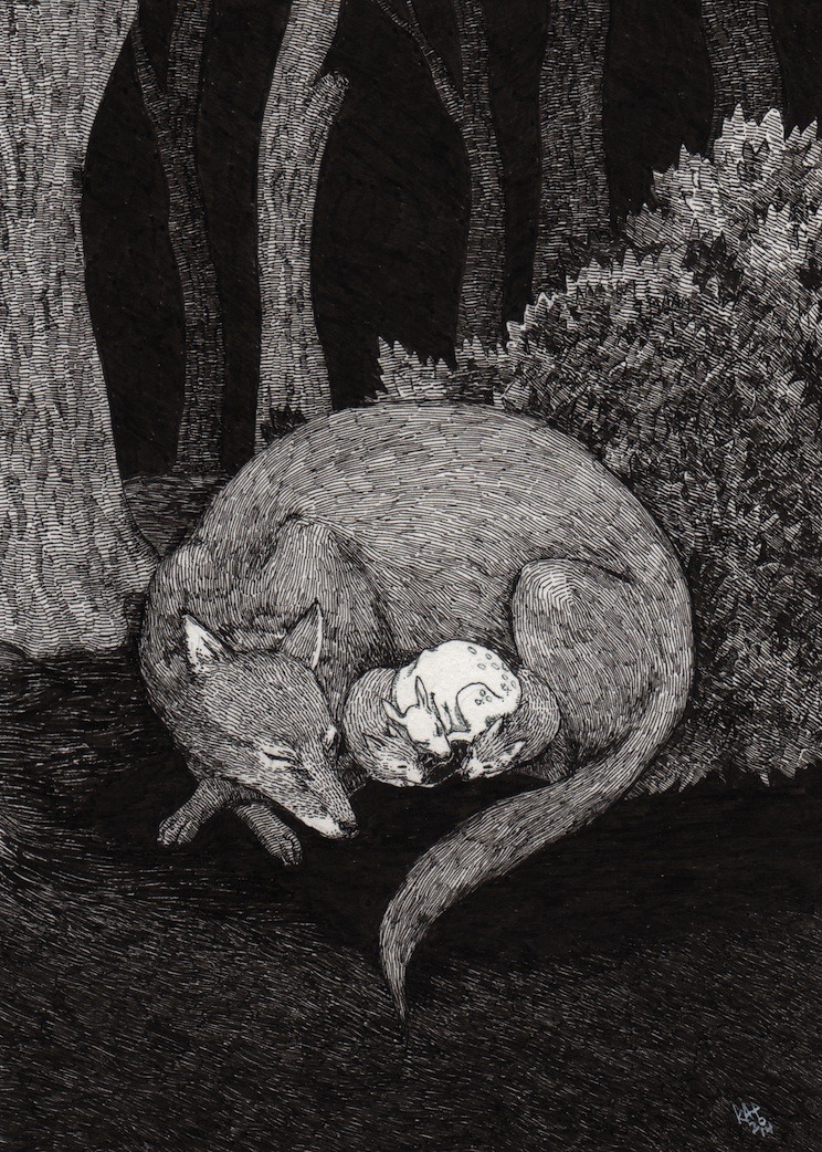 wolveswolves:  kAt Philbin | Tumblr