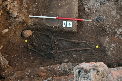 More Infidelity Uncovered in King Richard III's Family Tree