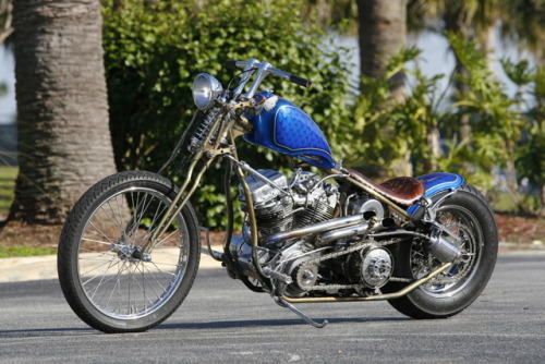 psychoactivelectricity:Barracuda - Indian Larry