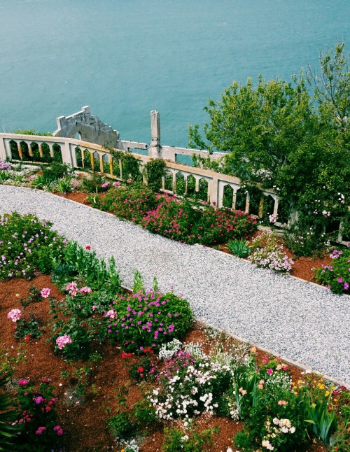 Gardens at Alcatraz