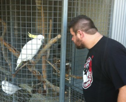 conikumanly:  Kevin Owens + Animals