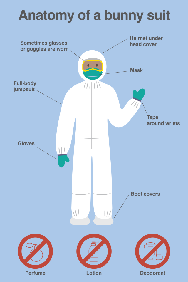 A person in a white “bunny” suit, blue-green gloves, a face mask, and goggles stands in the center of a plain blue background. Each element is labeled as follows: gloves, full-body jumpsuit, sometimes glasses or goggles are worn, hairnet under head cover, mask, tape around wrists, and boot covers. At the bottom of the graphic, three items (perfume, lotion, and deodorant) are each inside a red circle with a line through it. Credit: NASA/Shireen Dooling