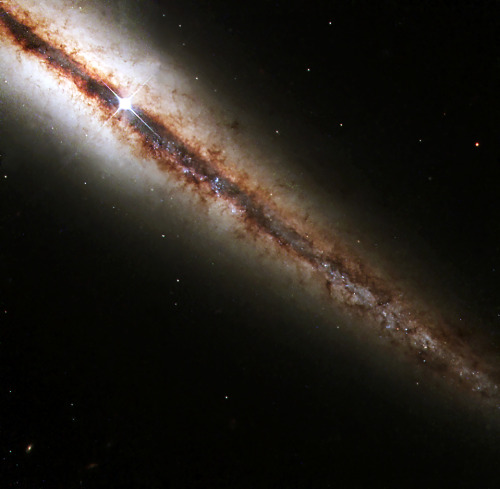 spacewonder19:the edge-on galaxy NGC 4013