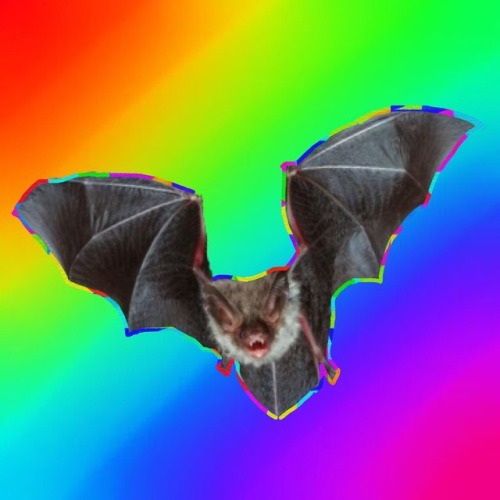 vampjunk:made some lil bat icons ! free 2 use for anything