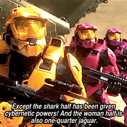 ctsouth-blog1: rvb + running gags: half shark