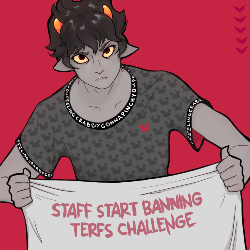 staff start banning terfs challenge