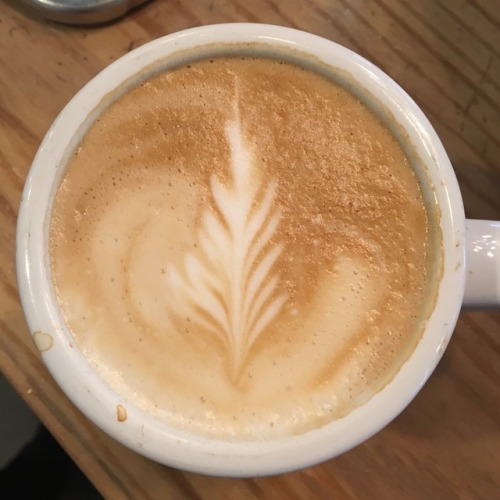 cute girls get cute lattes 🌿 adult photos