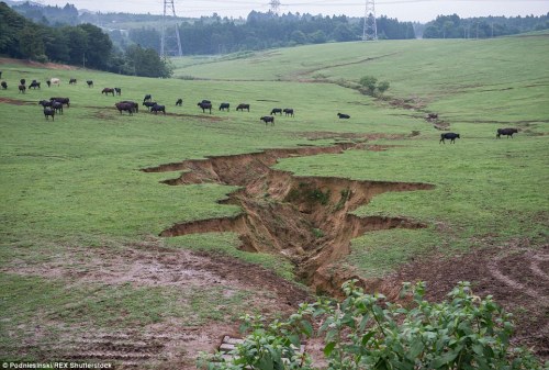 cctvnews: Fukushima exclusion zone looks like a post-apocalyptic wildernessFour years have passed si