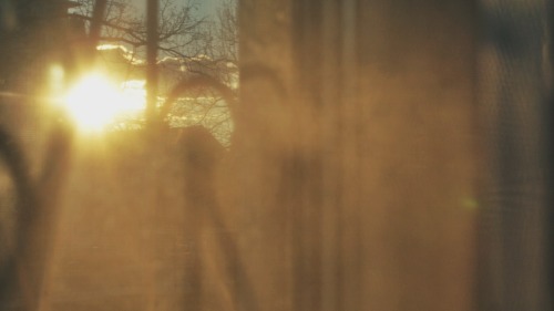 rouge-chevre:  So many new pics so unorganized and unmotivated the person I am oh no look at the sun