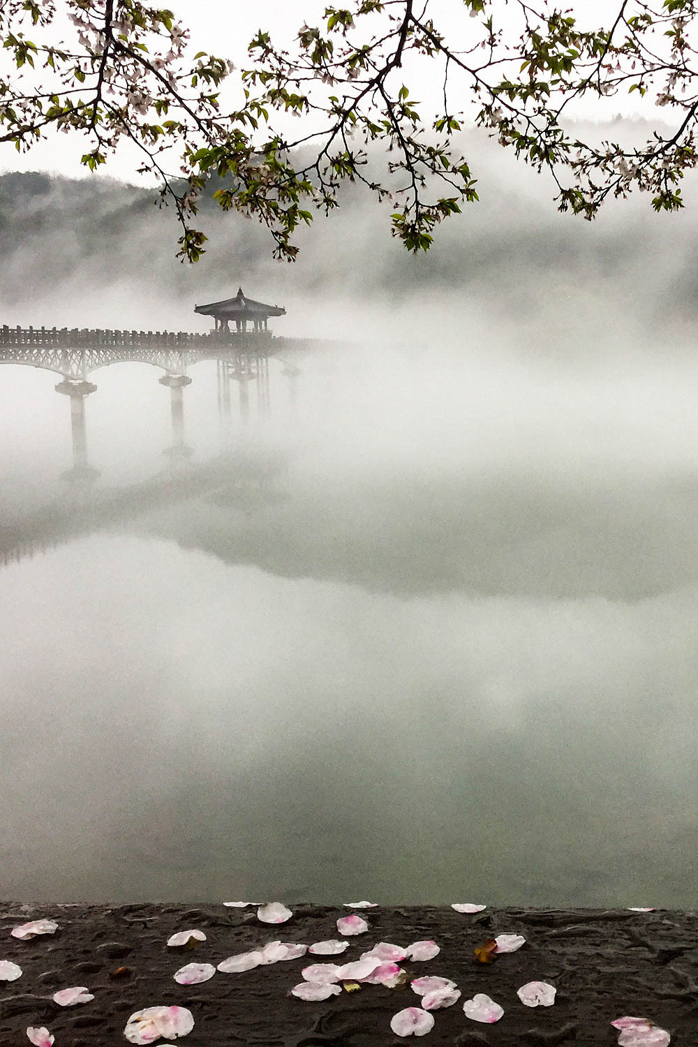 Дождь на китайском. Туман. Туманный пейзаж. Туманное озеро. Япония туман.
