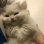 djgksmlxy