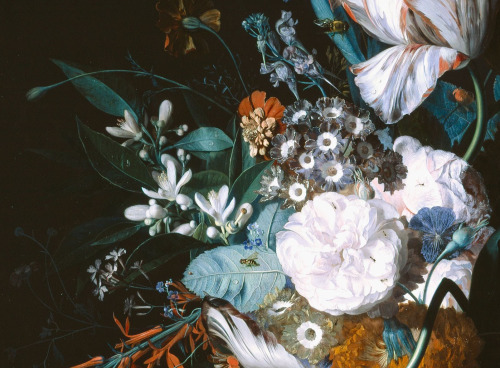 barcarole: Details from Vase with Flowers, Jan van Huysum, c. 1718-20.